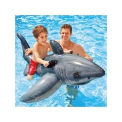 Great White Shark 173x107