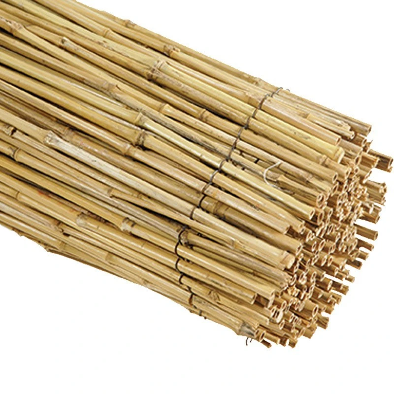 Μασίφ 150x300 1 Μασίφ 150x300