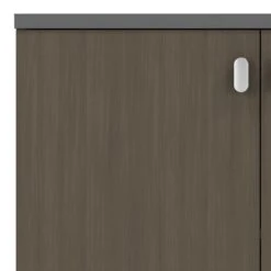 Ντουλάπι γραφείου επαγγελματικό χαμηλό Denith Pakoworld ανθρακί-καρυδί80x40x80εκ -Vougioukas ntoilapi grapheioi epaggelmatiko chamilo denith pakoworld anthraki karithi 80 40 80ek 2