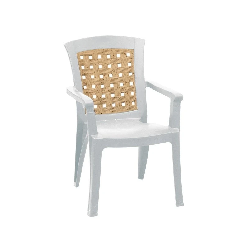 Ναταλία Πολυθρόνα Πλαστική 67x60x89εκ 1 Ναταλία Πολυθρόνα Πλαστική 67x60x89εκ