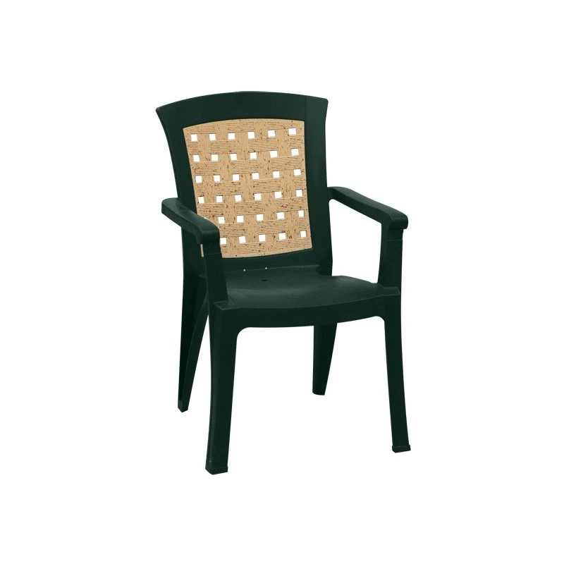 Ναταλία Πολυθρόνα Πλαστική 67x60x89εκ 3 Ναταλία Πολυθρόνα Πλαστική 67x60x89εκ - Image 3