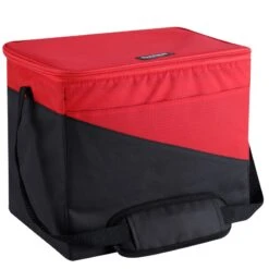 Collapse & Cool Ψυγειοτσάντα Igloo 24lt